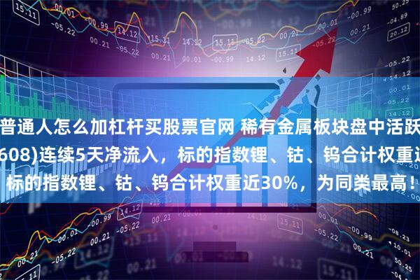 普通人怎么加杠杆买股票官网 稀有金属板块盘中活跃，稀有金属ETF(159608)连续5天净流入，标的指数锂、钴、钨合计权重近30%，为同类最高！