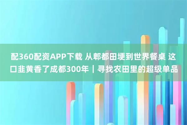 配360配资APP下载 从郫都田埂到世界餐桌 这口韭黄香了成都300年｜寻找农田里的超级单品