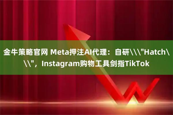 金牛策略官网 Meta押注AI代理：自研\＂Hatch\＂，Instagram购物工具剑指TikTok